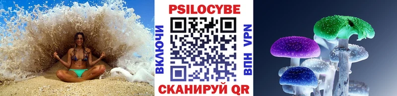 Псилоцибиновые грибы Psilocybe как найти наркотики Дзержинск
