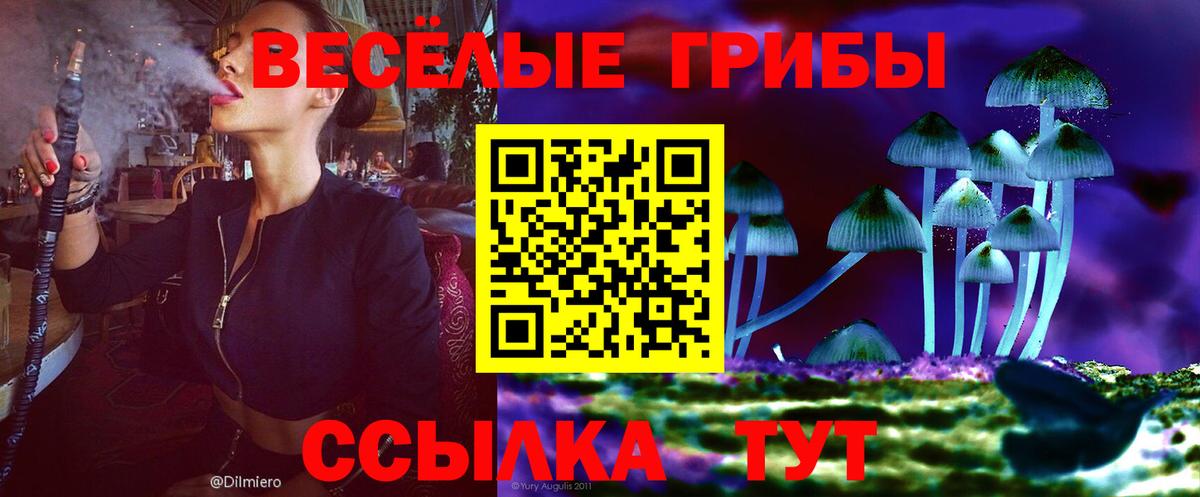 Дзержинск  Псилоцибиновые грибы Psilocybe  Вход с VPN 